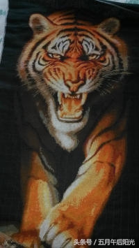 第一次缝十字绣,晒晒我的十字绣已经绣十年了