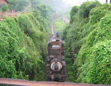 藏在深山里的文物,藏在深山里的老茶