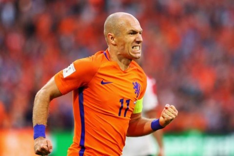 郁金香的一生是怎样的,郁金香一生要经历几个阶段