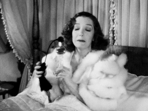 国内机场免税店购物全攻略,机场免税店必买清单