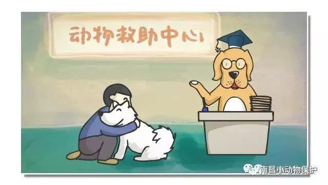世界狂犬病日漫画,全球狂犬病爆发漫画