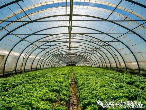 180米长14米宽温室大棚造价多少,温室大棚建造每平米价格