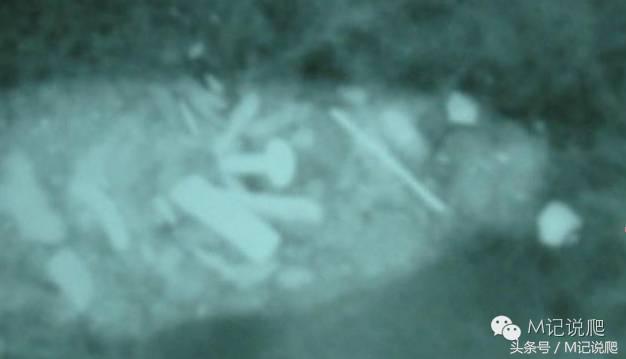 苏卡达陆龟乌龟卡脖子,苏卡达陆龟下颚裂开