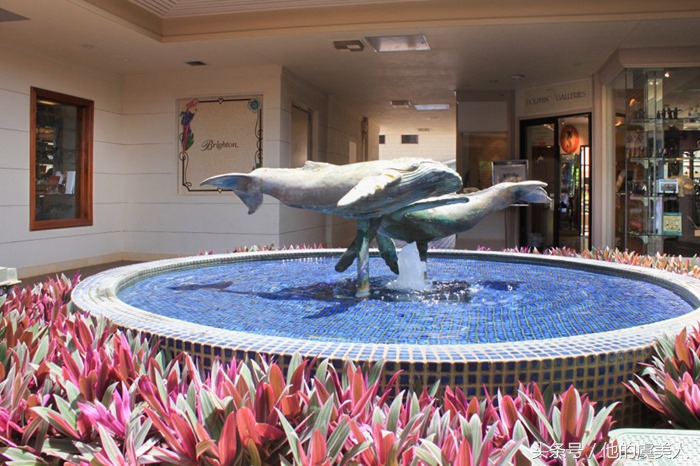 夏威夷去哪里购物比较好,夏威夷旅游攻略购物介绍