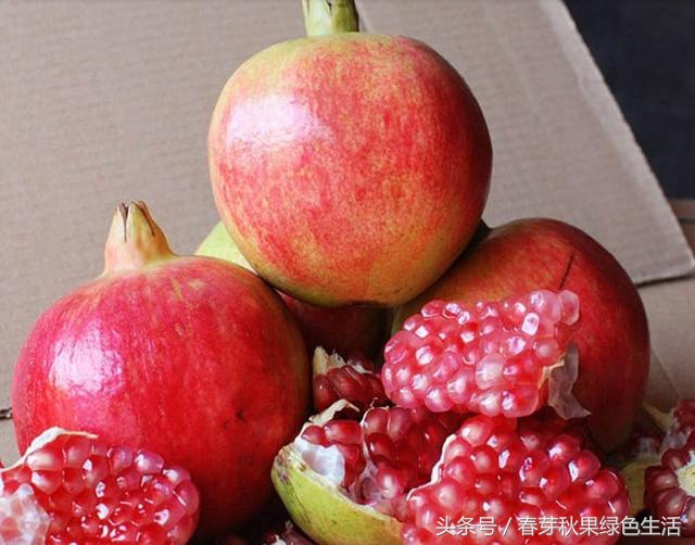全国最好的石榴属于什么档次,哪种石榴品种好吃