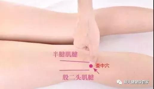 今日寒露,防秋燥,警惕抑郁,养生正当时!