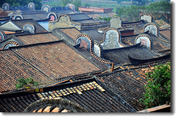 十二道锋味谢霆锋潮汕牛肉,十二道锋味隆苑咖啡谢霆锋