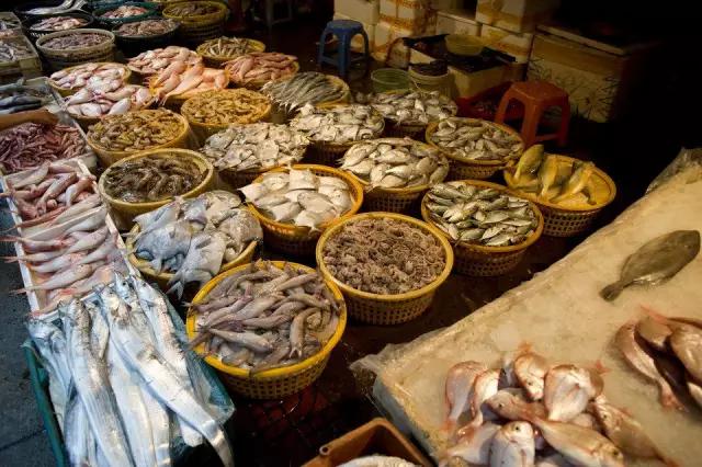 娲涢槼鐢熸椿鏀荤暐,娲涢槼鏈湴鐢熸椿鎸囧崡