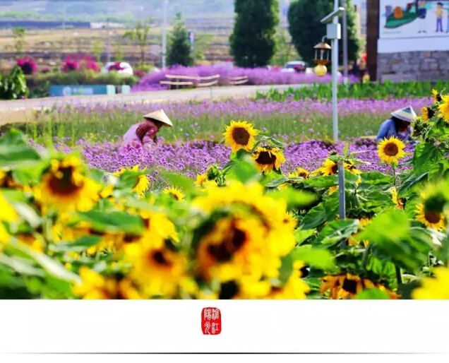 云南临沧美景图片,云南临沧旅行风景
