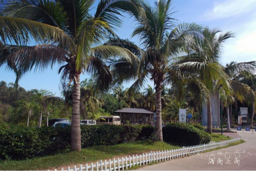 穿过云海后的美景,穿过云海看美景