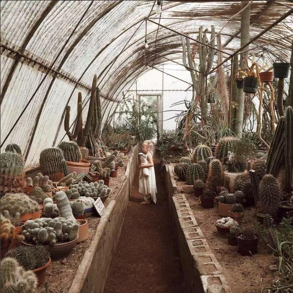 为什么都讨厌朋友圈晒娃,为什么妈妈们喜欢在朋友圈晒娃