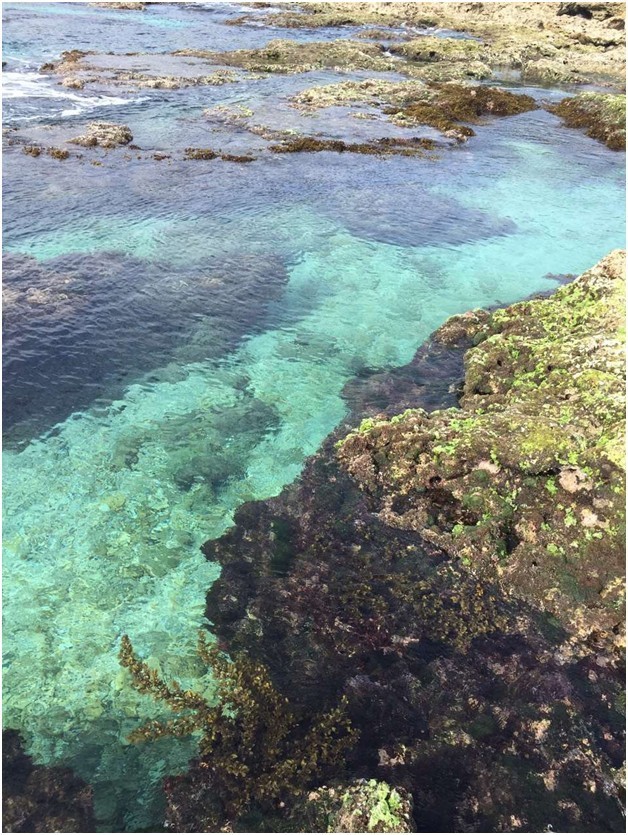 我在台湾生活32年,我在台湾生活