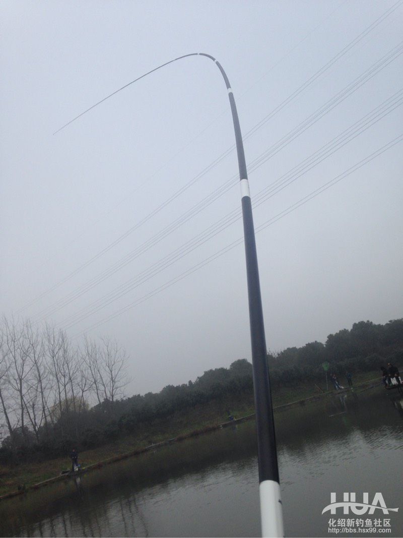 揭秘龙背后的故事,为什么那么多龙纹鲤