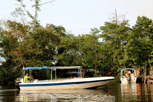 沙巴4天自由行攻略 (沙巴5天之旅)