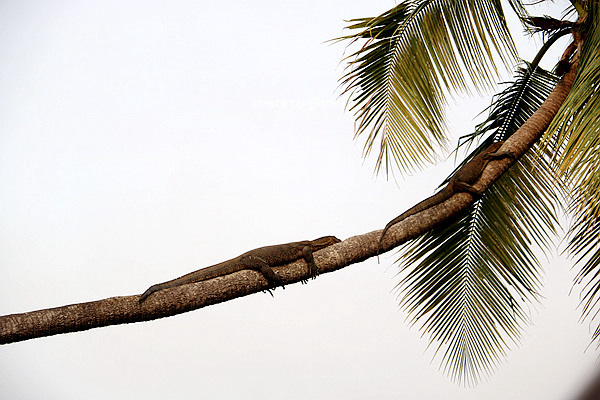 人生必需要有一次闺蜜游——沙巴五日游