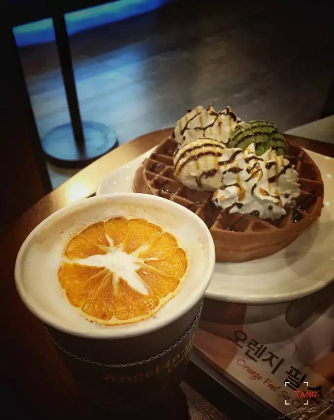 做一只治愈的猫,做一只快乐的柴犬