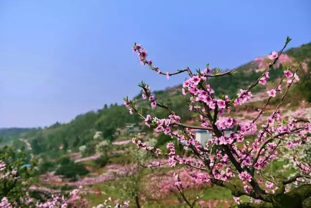 对不起成都，我只能给你90分！