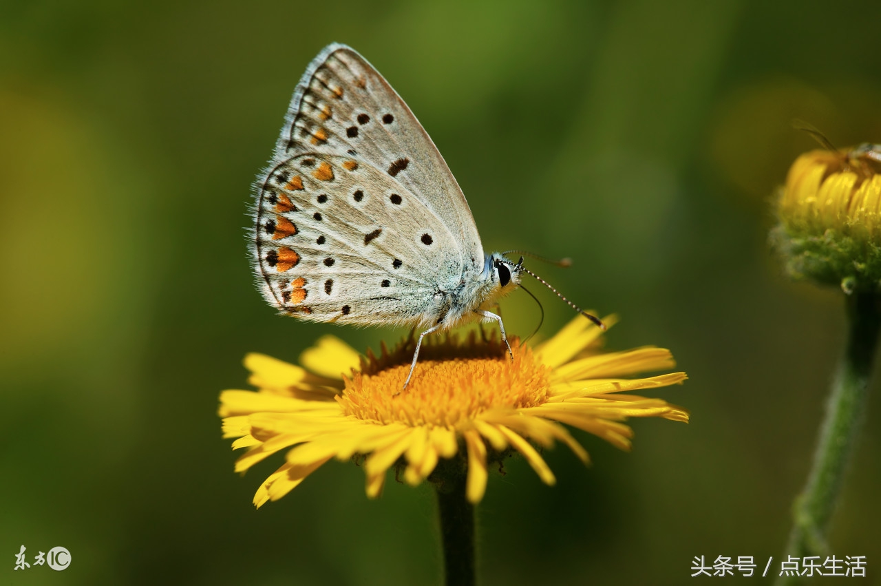 心软是一种病得治的文案,心软是我最大的败笔