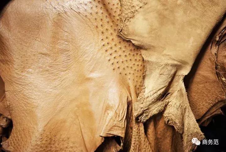 男生要知道的十个轻奢品牌,男人的高档低调品牌