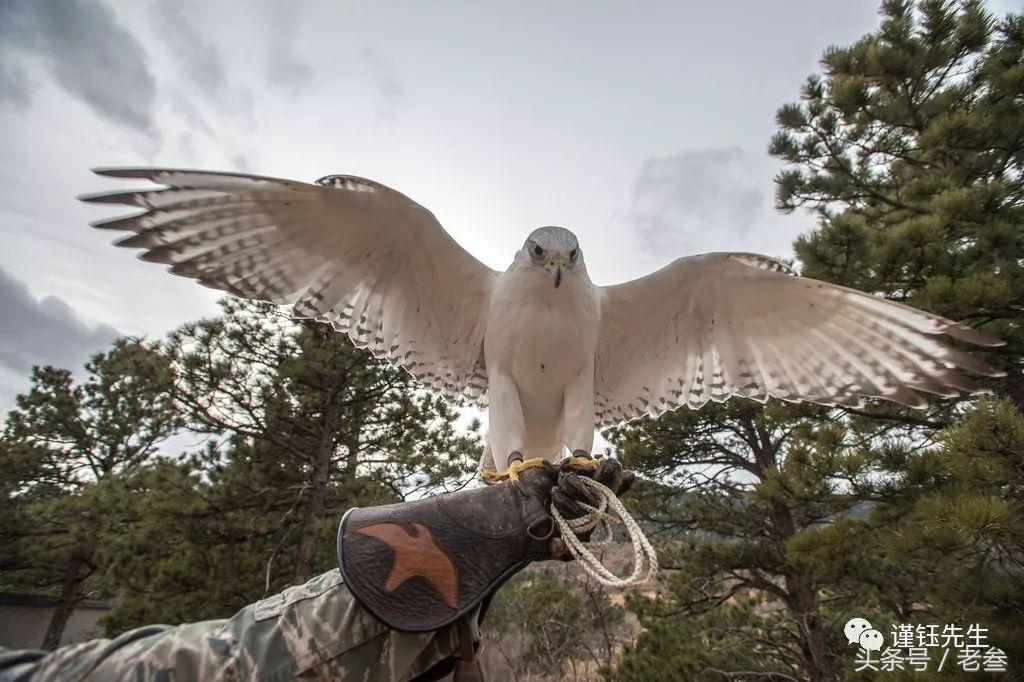 美国空军学院日常,美国空军学院女兵