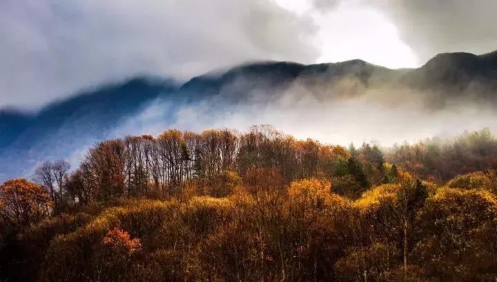 成都乐山红叶彩林,四川红叶彩林旅游节