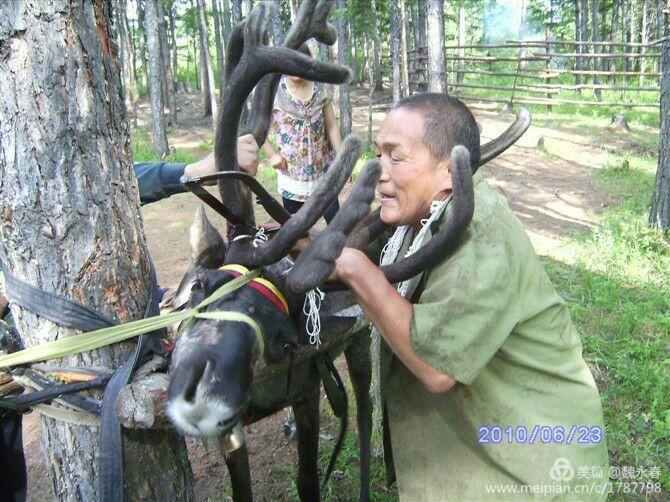 内蒙古草原旅游度假村,内蒙古敖鲁古雅景区