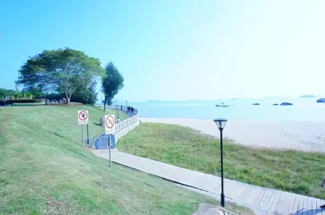 厦门旅游景点必去攻略自由行,厦门旅游攻略最好的城市自由行