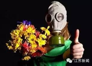 踏青被蜜蜂蜇,花海被蜜蜂蜇了