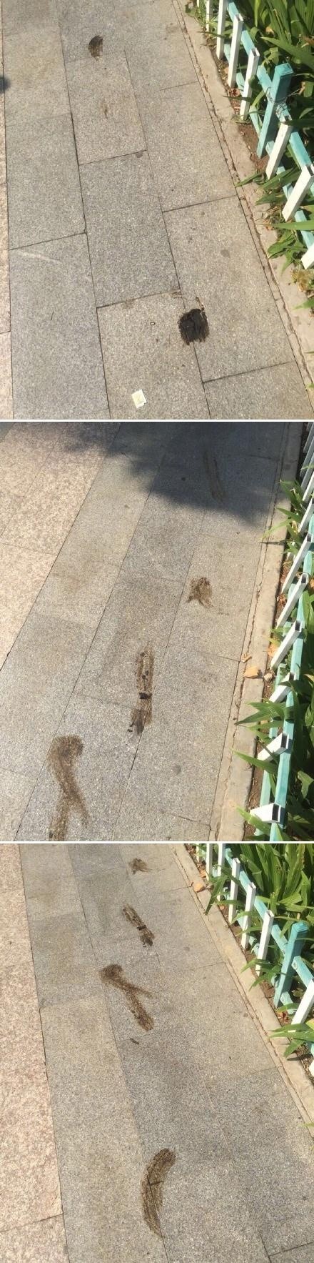 现在的小孩都那么不好哄的吗,现在的小孩不好管教