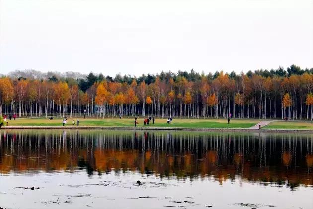 长春冬季最美拍照地,长春有一个很适合拍照的地方