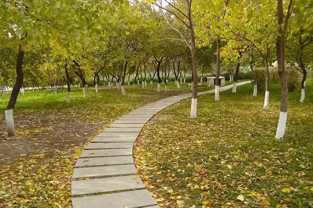 长春冬季最美拍照地,长春有一个很适合拍照的地方