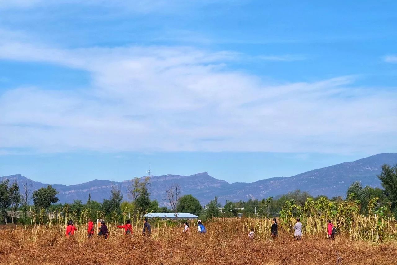一场秋宴是清欢/农场餐桌之慈心秋宴纪实Farm-to-Table