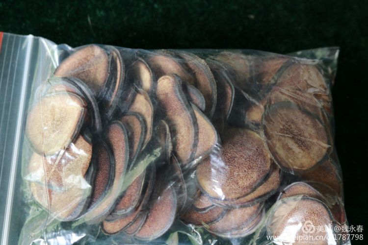 内蒙古草原旅游度假村,内蒙古敖鲁古雅景区