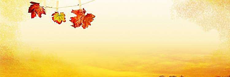 济南哪里的酸菜鱼做的最好吃,济南吃货鲽鱼头