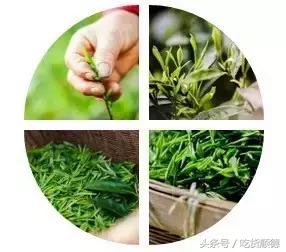 一口软欧包一口茶,一口鲜果茶一口软欧包