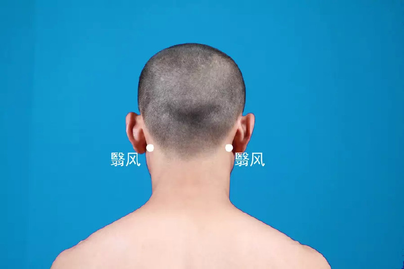 人体穴位大全全身高清穴位图,全身最重要的74个穴位讲解附图