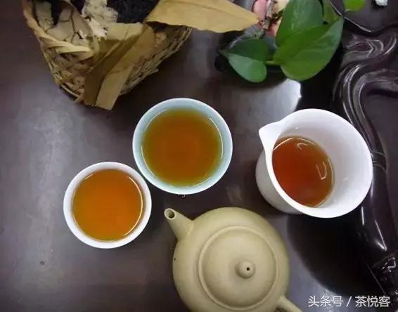何其幸运！邂逅了这一杯名震东南亚的“圣茶”——老六安篮茶