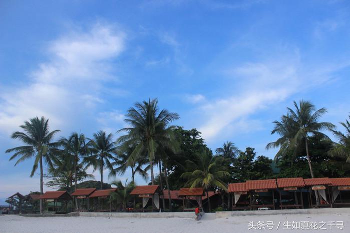 去兰卡威逗小鲨鱼，登嘉楼热浪岛浪一浪