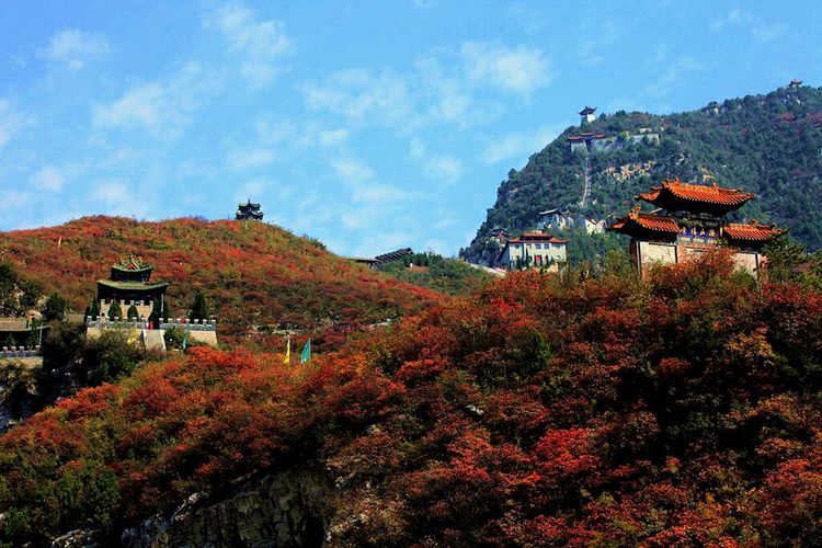 秋韵流过的晋城红