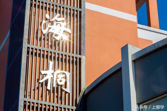 6个兰生、8个华育、25个张江,高调崛起的二梯队公办!