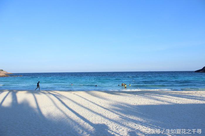 去兰卡威红树林,去兰卡威怎么玩