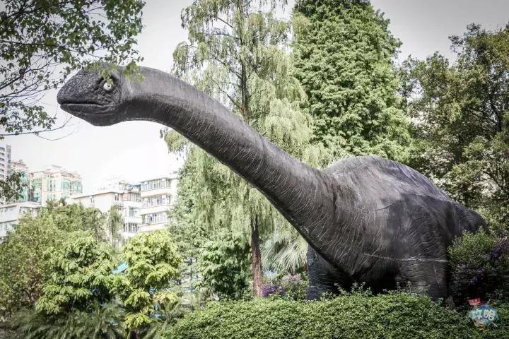 广州动物园的地图,广州动物园下一站去哪里