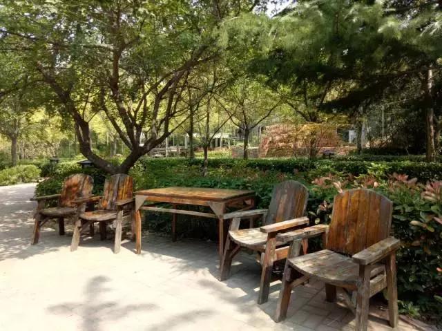 洛龙区银杏帝都温泉地址,洛阳银杏帝都温泉