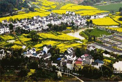 南京高淳慢城国际马拉松,高淳国际慢城马拉松