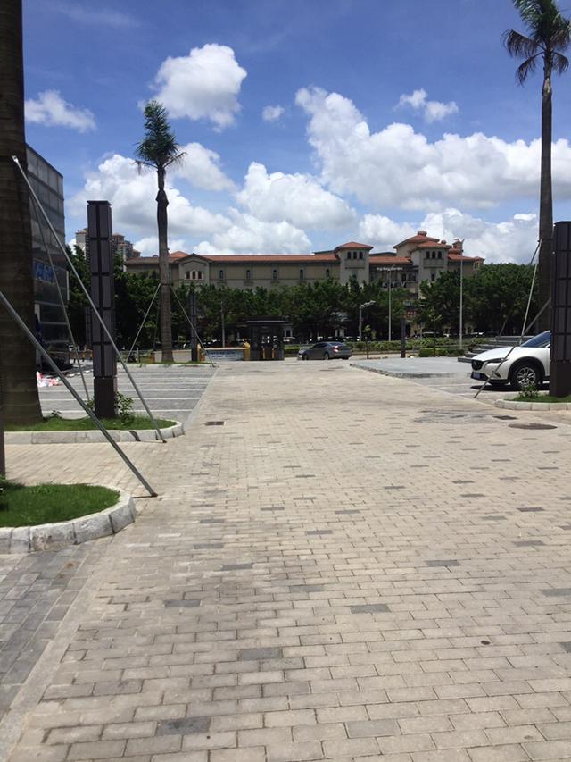 坂田北地铁最新公寓,坂田地铁复式公寓