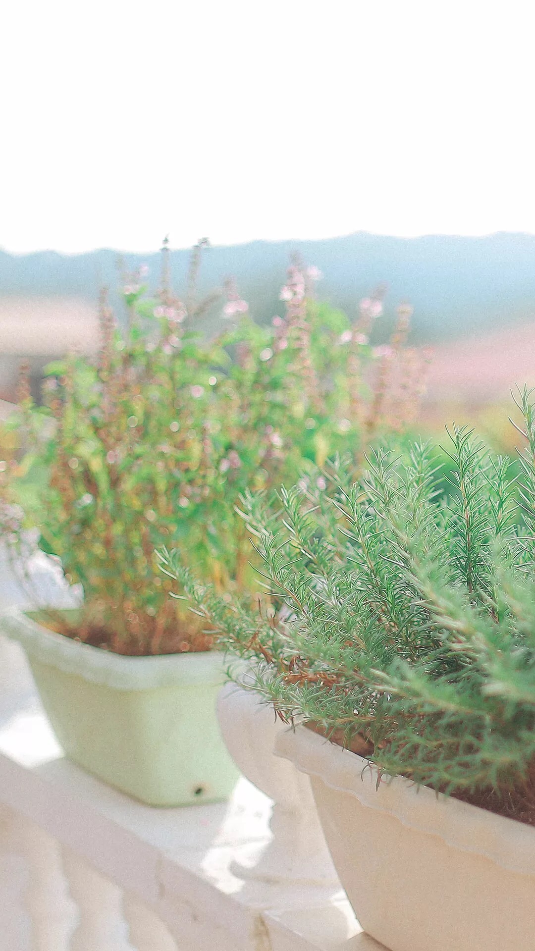 唯美1080×1920P高清壁纸锁屏画面待机背景图！请在wifi环境查看