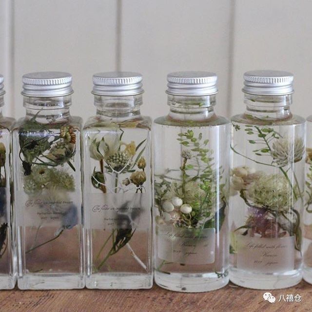 干花的颜色和品种,干花的形态分类