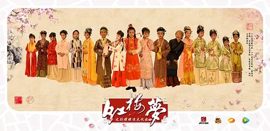 儿童版红楼梦小戏骨长大,小戏骨红楼梦如今怎么样