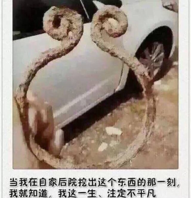 爆笑来袭一次比一次搞笑,爆笑来袭笑到脸僵硬