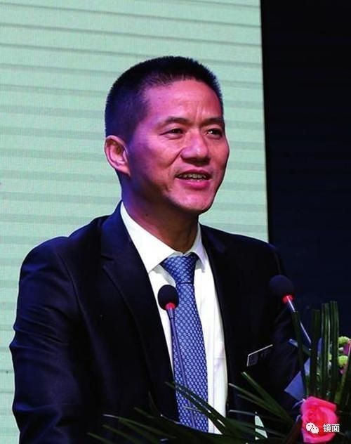 山东国金董事长苏金河,国金新能源汽车苏金河